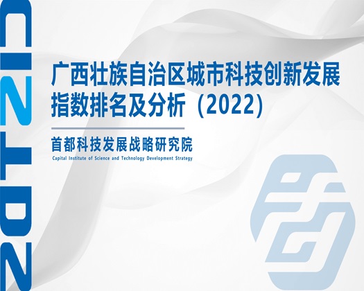 黄草爽死逼【成果发布】广西壮族自治区城市科技创新发展指数排名及分析（2022）